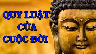 Phật Pháp Hằng Ngày