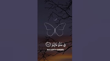 {وجوهٌ يومئذٍ ناعمة}. القارئ|عبد الرحمن مسعد