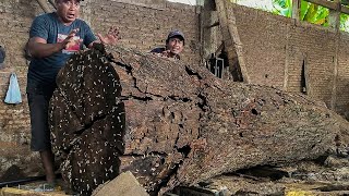 The strength of the sawmill workers is beyond human comprehension, barefoot? Are their feet damaged?