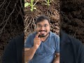 Ultimate Biochar for soil health . #biochar #farming #agriculture #agrifuture #trending #facts