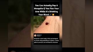 You Can Actually Pop A Mosquito If You Flex your Arms.