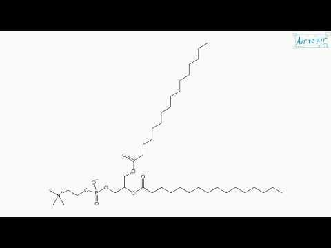 וִידֵאוֹ: מה זה phloroglucinol באנגלית?