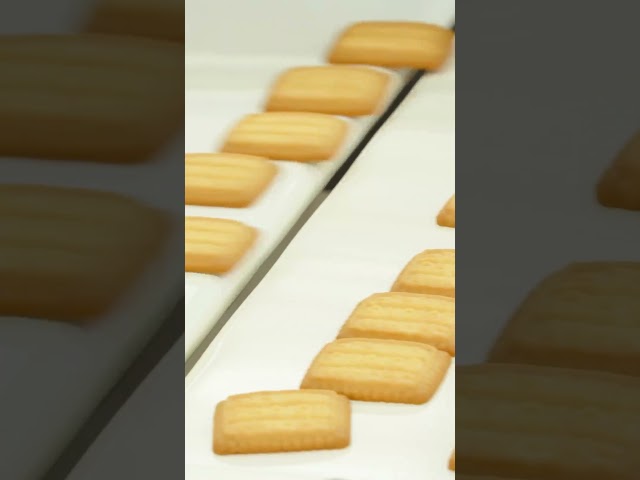 【森永ビスケット】チョイスができるまで【工場見学】