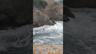 Месността Буджака край Созопол; The Budjaka area near Sozopol;