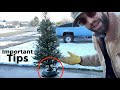  the greatest christmas tree stand  tips from a christmas tree farmer  krinners tree stand