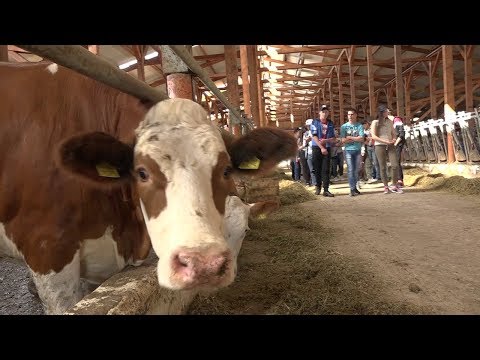 Videó: A garázsbérlés legjobb módja