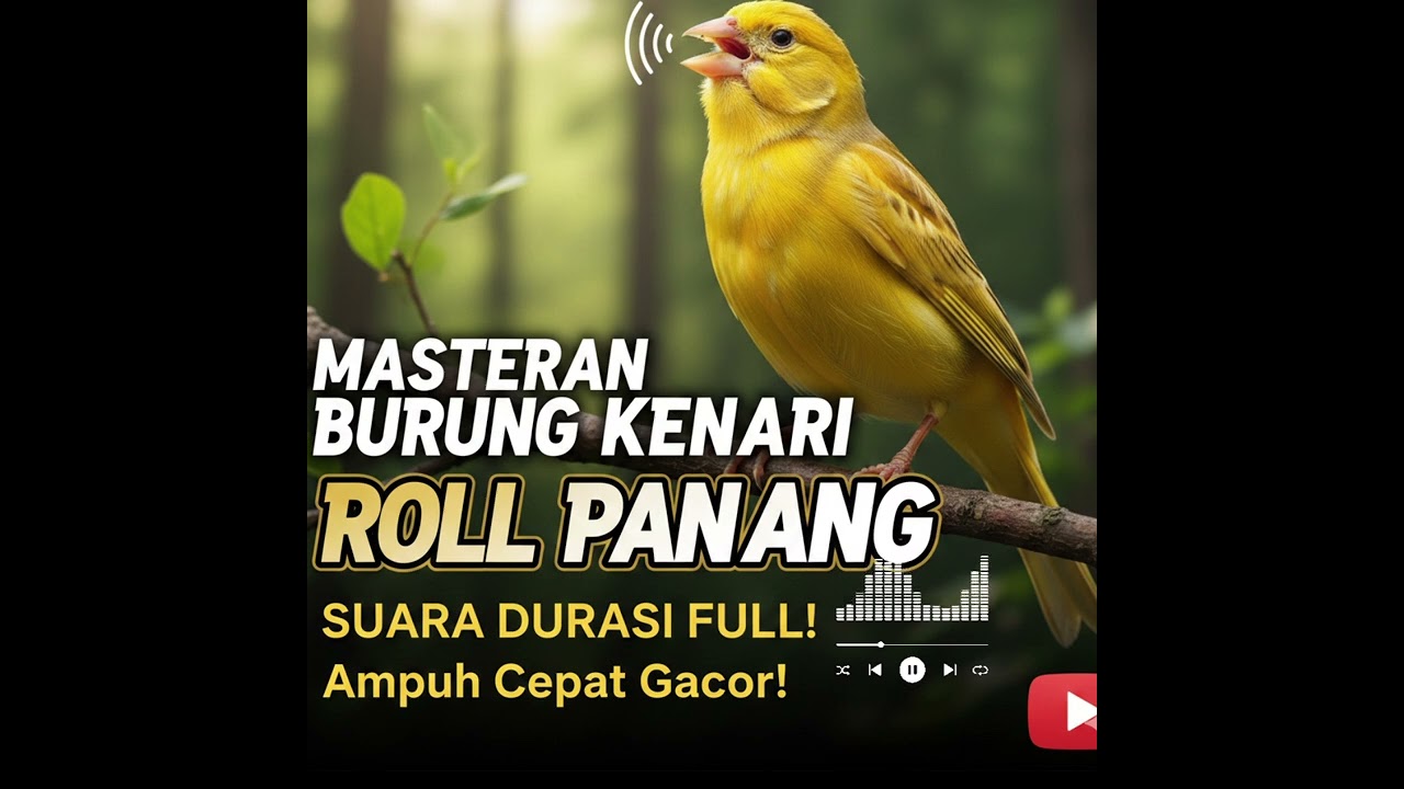MASTERAN BURUNG KENARI