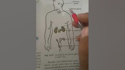 Science class 8 Chapter- 10 Reaching the Age of Adolescence (Video-5)