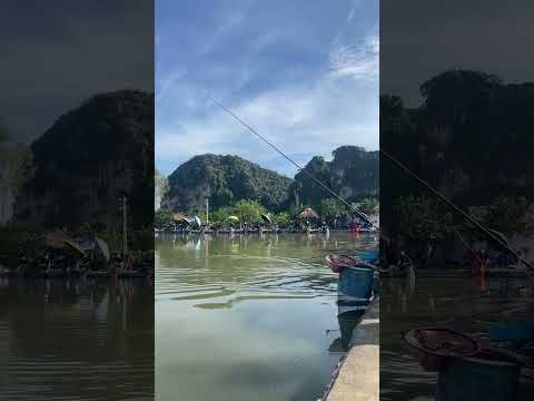 Giải câu Savic mùa 2 vòng 1 😊😊