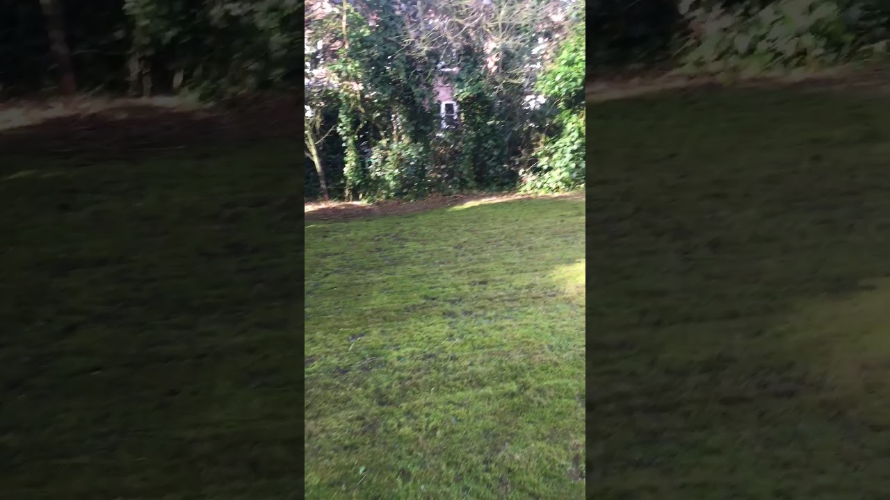 Monthly garden maintenance services by Fischerco Gardening Company Aigburth South Liverpool