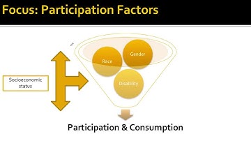 Participation Factors