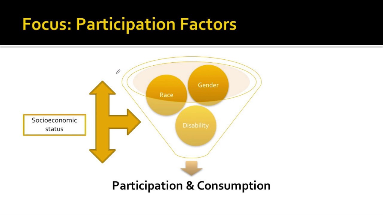 Participation Factors
