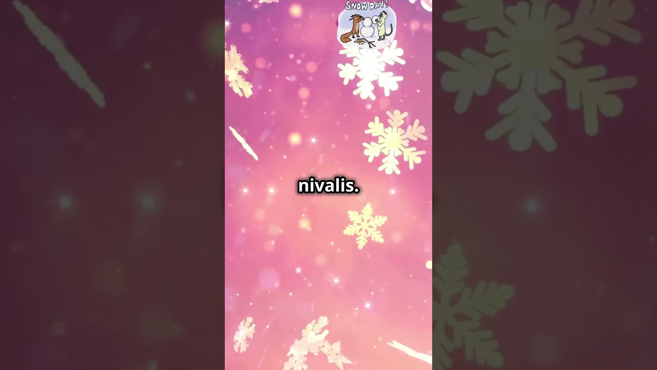 Why Does Snow Sometimes Appear Pink? 🌸❄️