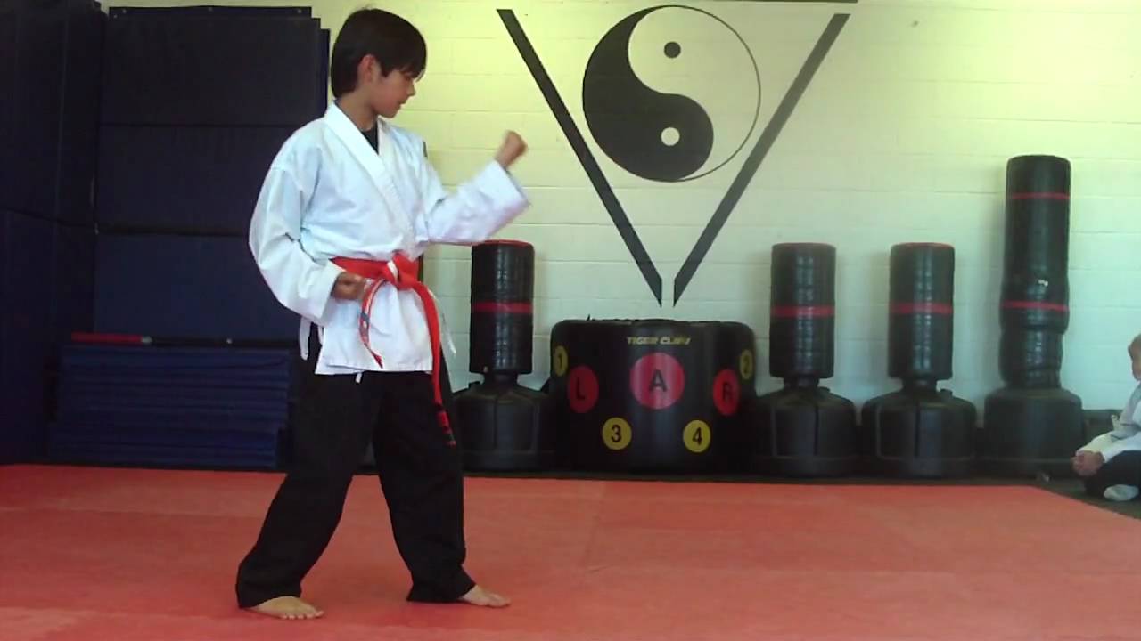 mario at bayside martial arts YouTube