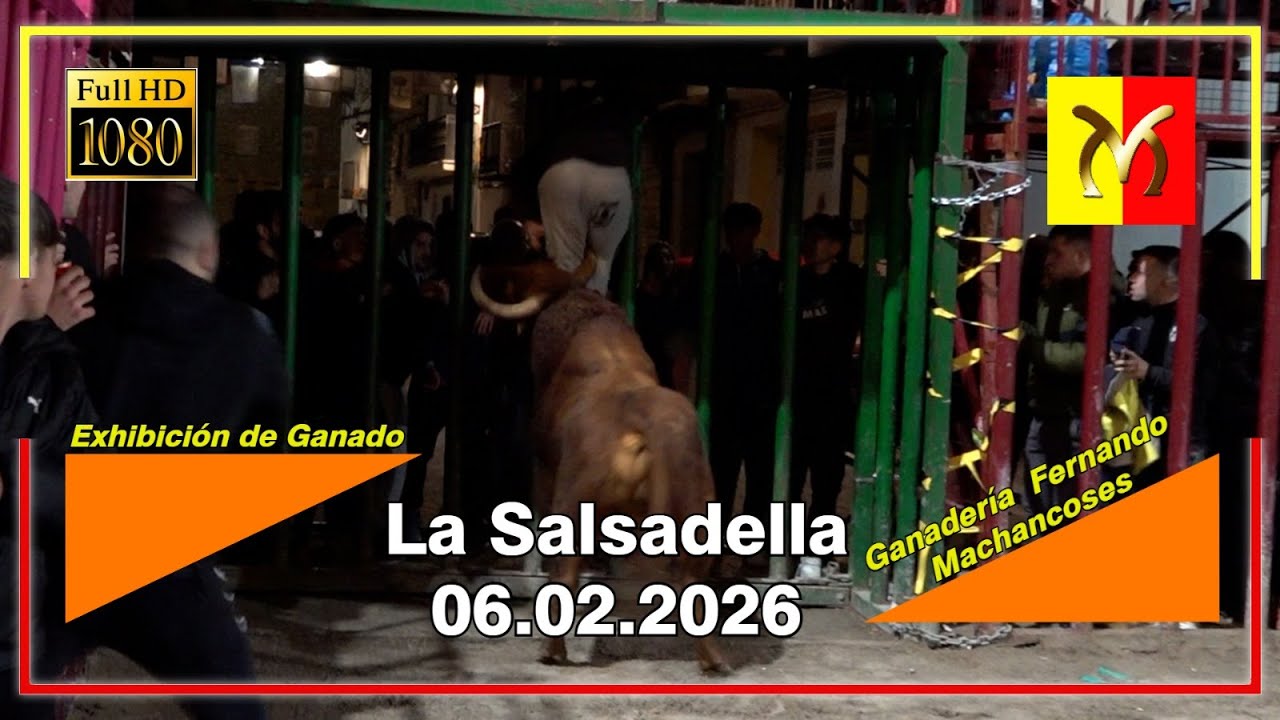 La Salsadella 06▪️02▪️2026 Ganadería / Fernando Machancoses