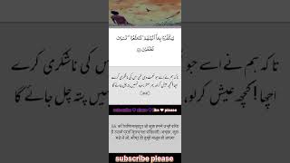 Surah An-Nahl Ayath 45to60 Urdu Tarjuma Ke Sath Aur Hindi Anuwad Ke Sath