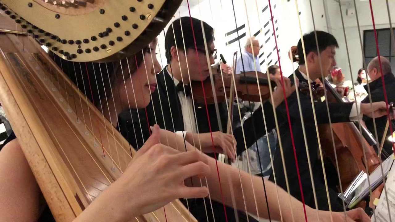 Liebesträume Harp, Violin & Cello Trio YouTube