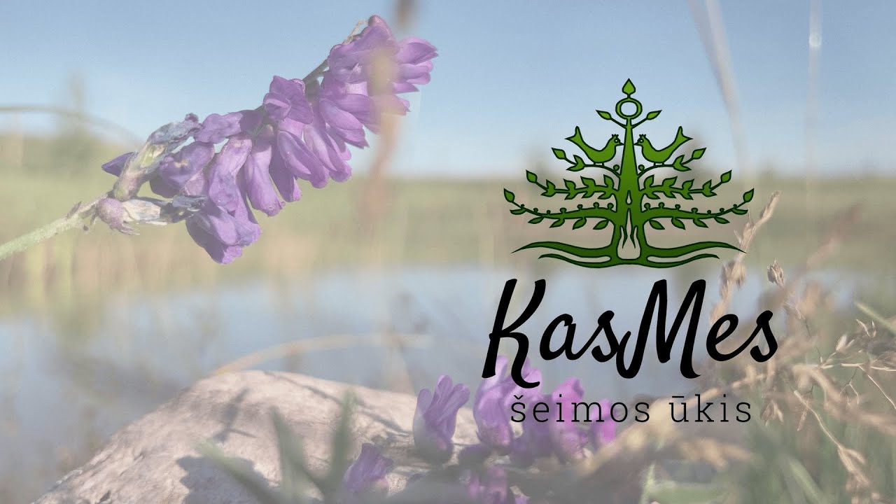 KasMes ūkis 2024#5 - Daržas, mėšlo mėžimas ir kitos pramogos