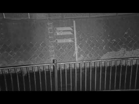真光寺川 矢崎橋 のライブ映像