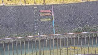 真光寺川 矢崎橋 のライブ映像