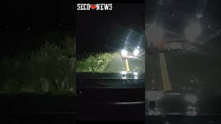 Moment of Impact! State Patrol Head-On Collison with Wrong-Way Driver in Colorado