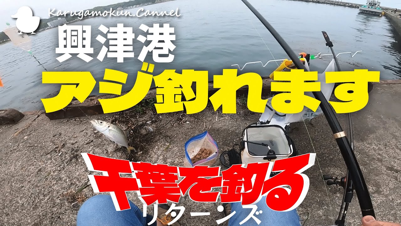 【千葉を釣るⅡR】興津でアジ釣りなど遊び倒す【第5話】
