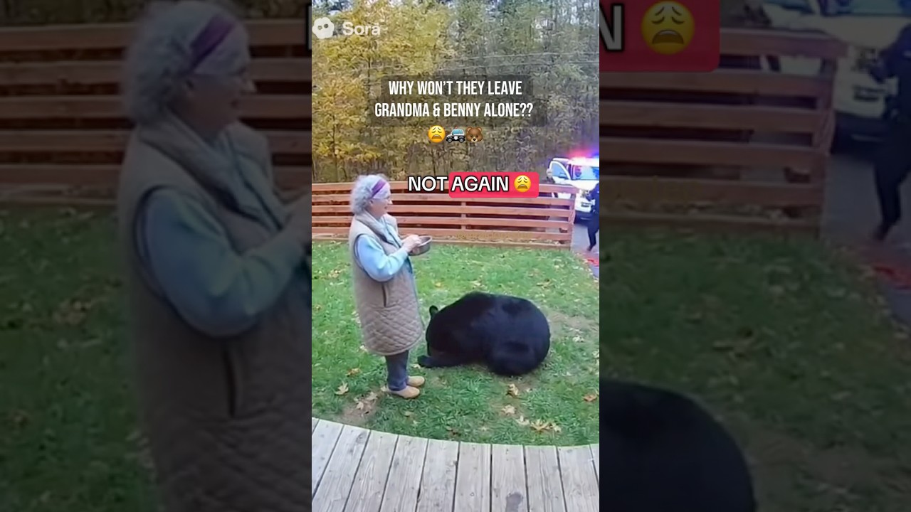 Whoever keeps calling the cops, Benny WILL find you😠🐻 