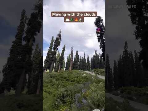 Exploring Nature's Beauty:Serene