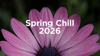 Spring Chill 2026 🌺 Chillout Vibes