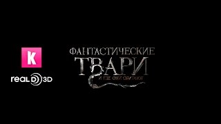 Фильм о фильме: почему "Фантастические твари" нужно смотреть в RealD 3D