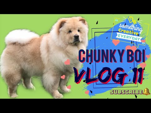 chunky chow chow