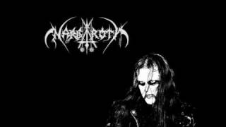 Vignette de la vidéo "Nargaroth - Artefucked"