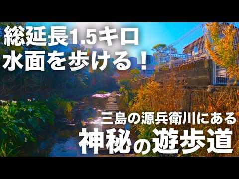 City Walk] Visit the water promenade on the Genbei River in