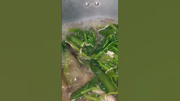 My Sinigang For Lunch 