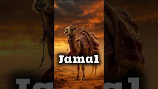 Jang-E-Jamal Hazrat Aisha Vs Hazrat Ali.