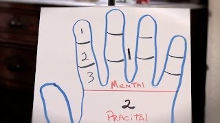 How to Read a Finger's 3 Sections | Palm Reading