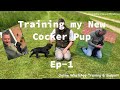 Ep1 training my new working cocker spaniel puppy