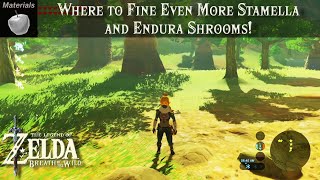 How To Find Endura Shrooms and Even More Stamella Shrooms | The Legend of Zelda, BOTW Tutorial