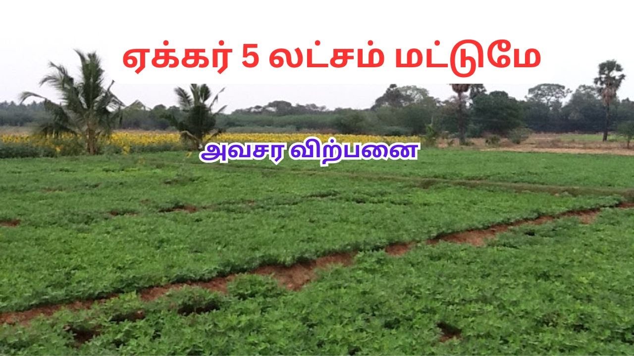 Срочная продажа сельскохозяйственных земель площадью 3 акра (50 центов).