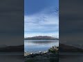 These Swans Overlook the Perfect Lake 🌊