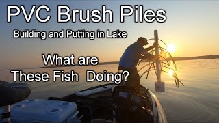 WHAT ARE THE FISH DOING????  Making Brush Piles (Dropping them in and viewing with Livescope)