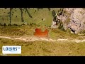 Niederhorn  un lac rouge phmre