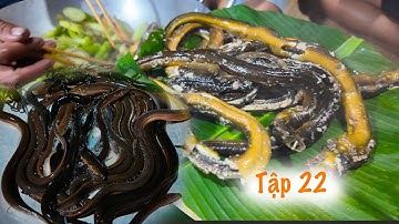 Mùa Nước Nổi - Tập 22 Buổi Chiều Đi Dở Ủ Lươn Trúng Thấy Mê  | Út Phiêu Lưu