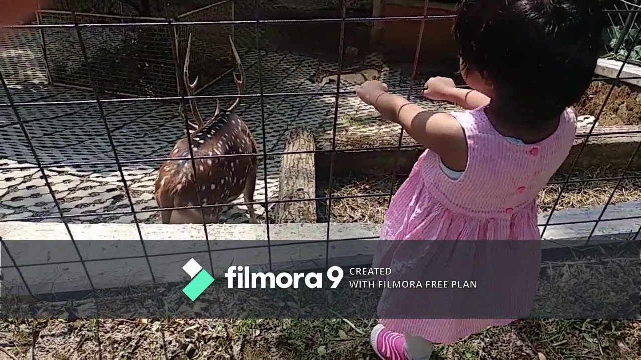Jalan-Jalan Ke Bogor Mini Zoo - YouTube