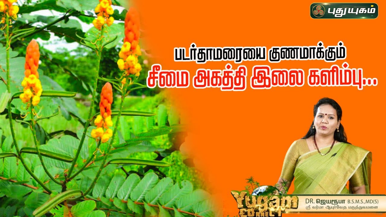 படர்தாமரையை குணமாக்கும் சீமை அகத்தி இலை களிம்பு..! | Dr.Jayaroopa | 