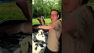 Shockwaves!  #indieboomshockwave