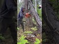 Entaille en V parfaite : Contrôle total de la chute