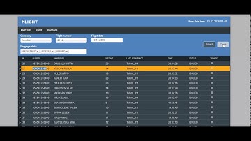 Web-interface reports of RFID Baggage Tracking, Management Solution
