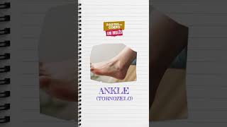 PARTES DO CORPO HUMANO EM #english