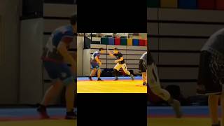 ダックウォーク